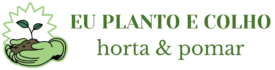 Planto E Colho